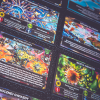 Star Realms: Frontiers - obrazek 3